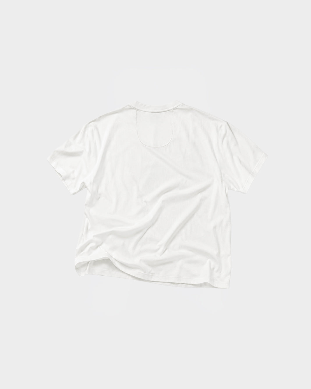 CAMISETA APLii