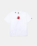 CAMISETA APLii